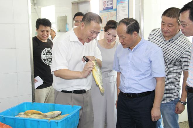 福建“面朝大?！奔涌炝魍▌?chuàng)新